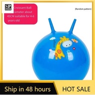 (Spot) Hopper Ball Jumping Ball Bouncy Ball with Handle for Kids Age 3-6 Bounce Hopping Ball with