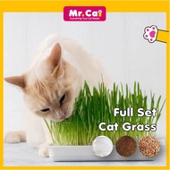 Cat Grass Seed Set | Healthy Cat Food Hairball Solution | Biji Benih Rumput Kucing  猫草 化毛