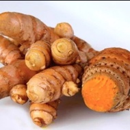 Promo Fresh temulawak rhizome cod