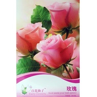 Hot-selling Fast Shipping Rose Seeds Flower Seeds Flower Seeds Four Seasons Sowing Vegetable Seeds W