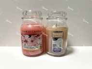 Yankee Candle Fragrances Cherry Blossom / Honey Lavender 香薰 蠟燭