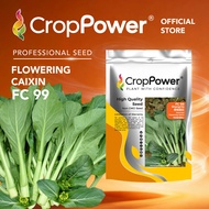 (500 GRAM) Biji Benih Sawi Bunga Hongkong Shangrila 香格里拉  FC99 CROP POWER Hong Kong Flowering Caixin