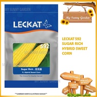 LECKAT 592 🌱 BENIH JAGUNG MANIS/GRED A-F1 HYBRID SUGAR RICH 500G BIJI SWEET CORN SEED(516)VEGETABLE 