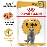 Royal Canin British Shorthair Pouch 85gr Wet Food/Makanan Kucing