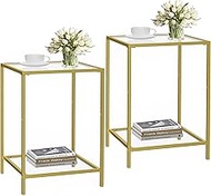 HOMSHO Side Tables Set of 2, End Table with Tempered Glass, 2-Tier Nightstands with Storage Shelves,