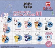 SEVENTEEN MINITEEN扭蛋