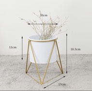 Golden style European flower pot with stand . Elegant &amp; trendy plant 🪴 pot