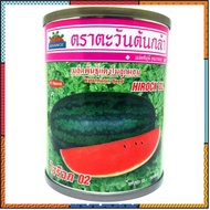 🔥เมล็ดพันธุ์แตงโม ไฮร๊อค 02 🍉 ตอปิโด ไฮรอค flashsale ลดกระหน่ำ