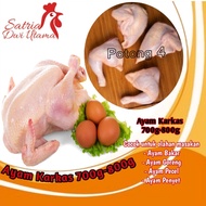 Ayam Karkas 700g-800g.Ayam karkas kecil 07-08.chicken baby07-08.