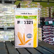 เมล็ดพันธุ์ข้าวโพดลูกผสม เอ็นเค (NK) 7321 3.5หุน สำหรับพื้นที่ราบ ฝักเสมอ ฝักใหญ่ สีสวย ปลูกได้ทุกสภ