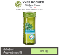 Yves Rocher Anti Dandruff Shampoo  อีฟโรเช่ แชมพู 300ml