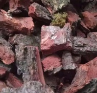 kulit Pinus cacah forest bark pine bark kulit media tanam anggrek kualitas terbaik pine bark 1kg