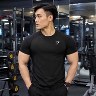 Shark Men's Gym T-Shirt - Slim Fit Sports Short Sleeve 4-Way Stretch Fitness Running Shirt