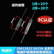 12.5A F12.5L 250V 5X20 Universal Midea induction cooker fuse tube 6*30MM with lead feet