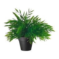 FEJKA longish ornamental plants using POT for living room, Cafe room