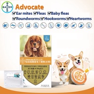 Advo-cate For Dog Under 40 kg to Get Rid of Fleas Mites and Roundworms(EXP:IN 2027)