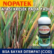 100% Original Obat Kresek Padi Terbaik Atasi Hama Padi Kresek Terpercaya - Nopatek