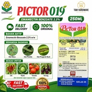PICTOR 019 250ml FARMCOCHEM RACUN