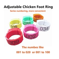 20/50 Pcs Adjustable Chicken Brand Leg Ring Poultry Foot Ring Inner Diameter 2mm to 2.4cm Retractabl