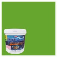 สีน้ำทาภายนอก BEGER COOL DIAMONDSHIELD 10 #064-6 สี FRESH CUT GRASS กึ่งเงา 9 ลิตร (1178475)