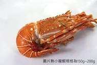 【冷凍蝦蟹系列】 熟小龍蝦(切半)/約130g±10g/尾~來點新鮮的烤小龍蝦~飽滿的肉質輕甜鮮香~不愧稱為「海鮮之王