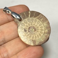 Sutured Ammonite Pendant by Request
