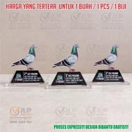 APENG Piala Burung, Piala Murai Batu, Piala Kicau, Tropi Murai Batu J1