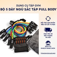 Set of 5 Multi-Purpose Bands for Home Gym, Home Gym Equipment - TongkhoGiaDung
