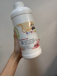 白膠漿