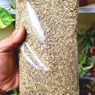 Adas manis 1kg  Biji Adas Manis