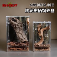 Reptile Arboreal Breeding Box High Transparent Climbing Box Climbing Pet Eyelashes Gecko Tree Frog S