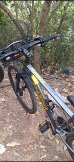 Phoenix 鳳凰牌單車