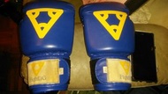 Fighting 散打，拳擊，拳套，12oz，合成人不太大手掌用，有少少破，屯門交收，or SF, Boxing Gloves, Adult size(not suitable for too lar