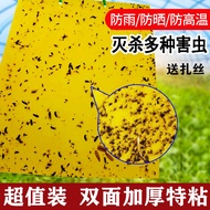 ❀✙△ Double-sided thickened special sticky insect trap blue board yellow orchard tea garden greenhouse household etc. to kill a variety of small flying insects
