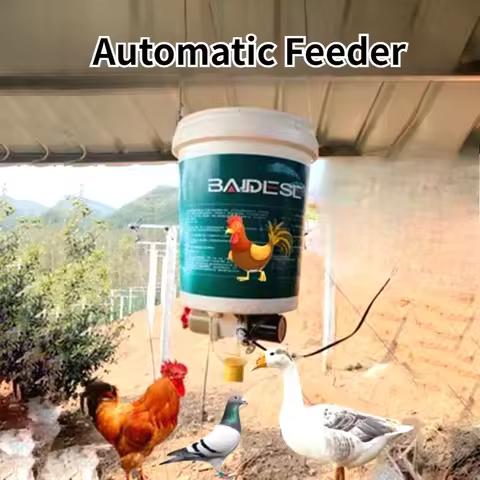 220v Chicken Automatic Feeder Pigeon Chicken Duck Carrier Pigeon Feeding Trough Timing Automatic Fee
