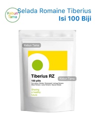 Benih Selada Romaine Tiberius RZ Rijk Zwaan Isi 100 Biji KYS