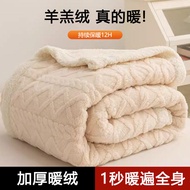 Blanket Winter Thickened Sofa Nap Blanket Cover Leg Student Fall and Winter Coral Fleece Single Bed Mattress Office