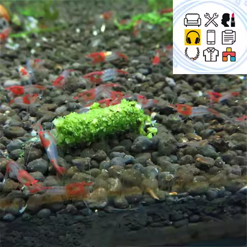 1 Bag 35g Crystal Red Shrimp Food Natural Spinach Mixed Ingredient Aquarium Fish Tank Aquarium Shrim