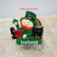 Fridge Magnet Fridge Magnet Souvenir Country Ireland Irlandia Leprechaun