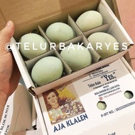 TELUR ASIN REBUS YES ISI 6 BUTIR + BUBLE WARP