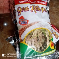 bibit benih padi unggul beras ketan putih 1kg mminqu 0923xy