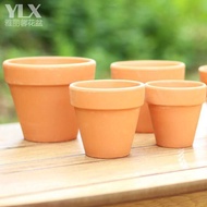 Red Pottery Flower Pot Red Pottery Plant Green Radish Pot Succulent Pot