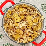 Dried Chicken Fat Mushroom (Yellow Oyster Mushroom - Golden Abalone Mushroom - Golden Mushroom - Gol