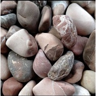 Brown garden coral stone, decorative coral stone, 10 kg garden stone