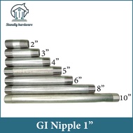 GI Nipple Pipe Threaded Galvanize Iron Metallic Tube (1 x 2--1 x 12)