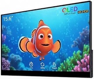 15.6 Inch 4K OLED Touch Monitor, Anti-Blue, HDR, 60Hz, 100% DCI-P3, USB-C/HDMI, Laptop Extender, Gam