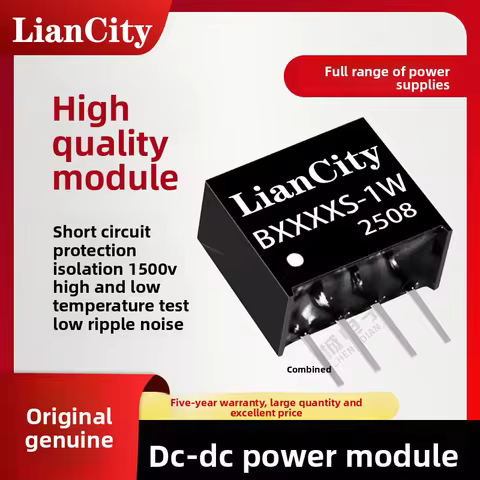 DC-DC converter with 1.5 kV input/output isolation 5 V to 5 V conversion 1 W output power B0505S-1WR