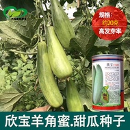 Claw Melon Seed Claw Crisp Melon Seed Melon Seed Spring Four Seasons Fruit High Sugar