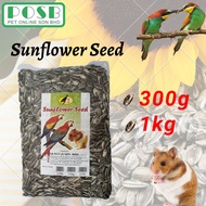 USA Premium Sunflower Seed / Kuaci / Biji Bunga Matahari 300g & 500g & 1kg (Makanan Hamster/Burung N