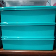 Tupperware limited edition